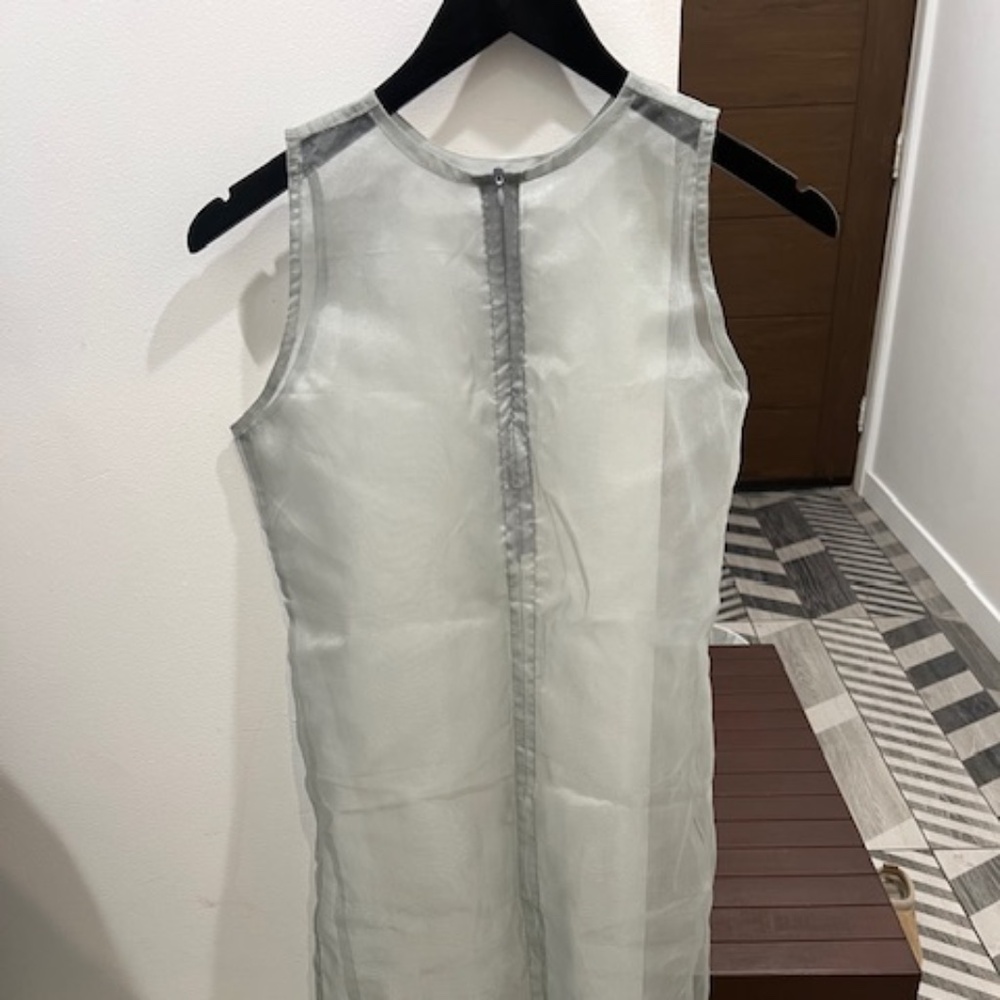 Sheer Dress